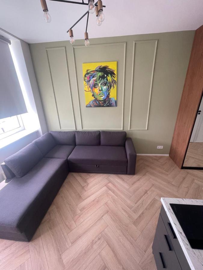Airport Apartment 14 Self Check-In Free Parking Vilnius Ngoại thất bức ảnh